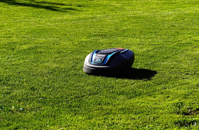 Få en fejlfri græsplæne uden at sprænge budgettet med en robotplæneklipper