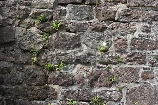 Den taktile revolution: Natursten som værktøj for bedre tilgængelighed