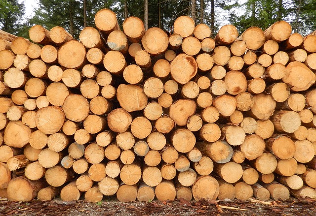 Spånsugning i træindustrien: Hvordan kan du optimere din produktion?